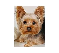 SCDSM Cross Stitch Kits for Adults,Yorkshire Terrier,11CT Cross Stitch Kits,Stamped Embroidery Kits for Beginners,Easy Hand Fabric Craft Kits for Adults UK 40x50cm