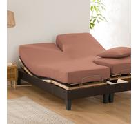Scenario Plain Cotton Fitted Sheet For Articulated Bed Sienna
