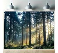 scene vinyl background fabric in the early morning, with lush trees and sunlight, is suitable for home decoration 250x180CM