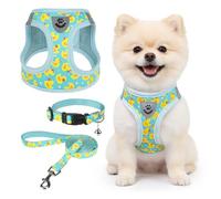 SCENEREAL Puppy Harness Collar and Leash Set, Yellow Duck S