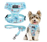 SCENEREAL Small Dog Harness and Leash Collar Set - No Pull Dog Harness for Small & Medium Sized Dogs - Soft Mesh Vest for Puppies, Chihuahua, Yorkie, Spring Summer Hiking Walking, Coconut Tree XS