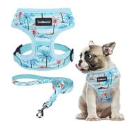SCENEREAL Small Dog Harness and Leash Collar Set - No Pull Dog Harness for Small & Medium Sized Dogs - Soft Mesh Vest for Puppies, Chihuahua, Yorkie, Spring Summer Hiking Walking, Coconut Tree M