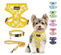 SCENEREAL Small Dog Harness and Leash Collar Set - No Pull Dog Harness for Small & Medium Sized Dogs - Soft Mesh Vest for Puppies, Chihuahua, Yorkie, Spring Summer Hiking Walking, Yellow Lemon XS