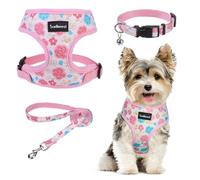SCENEREAL Small Dog Harness Collar and Leash Set, Adjustable No Pull Pet Harnesses, No Chock Soft Mesh Step in Vest for Doggie Puppy Medium Dogs Cats Girl or Boy,Chihuahua, Yorkie, Outdoor Walking