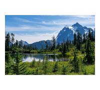 Scenic Picture Lake Backdrop Stunning Evergreen Forests Lush Alpine Meadows Photography Background Splendid Mountain Forest Tranquil Lake Backdrop for Hiking Travel Adventure Background Props 7x5ft