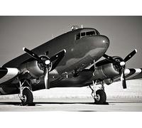 Scenolia DC3 Decorative Tapestry Poster Douglas Design 3 x 2.70 m XXL HD