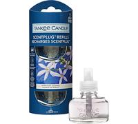 Scent Plug Refill, Midnight Jasmine, For Small to Medium Rooms