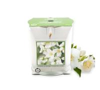 Scented Candle Jasmine Blossom 170g Single Wick 45hrs Burn Time Glass Jar Gift