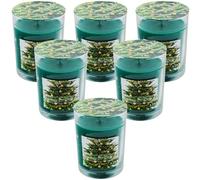 Scented Candle - Shimmering Spruce - 8oz/227g - 3x/6x/12x (6)