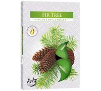 Scented candles 6-pack candles, fragrance: Christmas tree