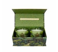 Scented Candles Gift Set of 2 - Fresh Floral Citrus Fragrance with Rose, Fresh Green & Soft Musk Notes | 20-Hour Burn | Decorative Glass Candle Set for Home & Gifting