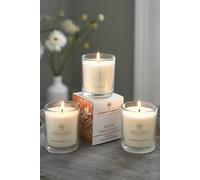 Scented Candles Glass Jar Pack of 3 Goji & Terocco Orange The Lyndon Company White 1 Pack