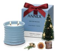 Scented Luxury Candles in Handmade Ceramic Jars, Soy Wax | Day On The Sea - Cypress & Cedar, Large Candle | Non Toxic, 2 Wicks, Reusable Big Blue Jar | Natural Spring Aromatherapy for Women & Men