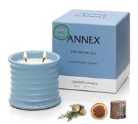 Scented Luxury Candles in Handmade Ceramic Jars, Soy Wax | Day On The Sea - Cypress & Cedar, Large Candle | Non Toxic, 2 Wicks, Reusable Big Blue Jar | Natural Spring Aromatherapy for Women & Men