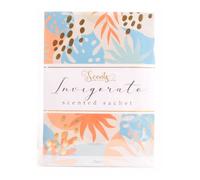 Scented Room Sachets Assorted Scents 25g