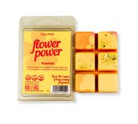 Scentish Flower Power Wax Melt Scentish Multicolor
