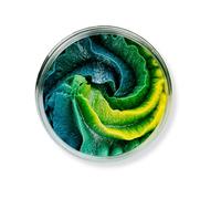 Scentish M.V.P. Whipped Soap