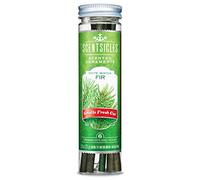 Scentsicles - 04314-024 Scented Christmas Ornaments for Christmas Tree, All Natural Holiday Air Freshener (White Winter Fir Holiday Fragrance) Includes 6 Ornaments & Hooks