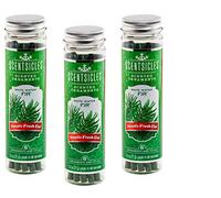 Scentsicles 3 Pk Scented Ornaments White Winter Fir by SCENTSICLES