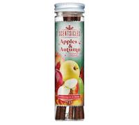Scentsicles Scented Sticks (Autumn n Apples)