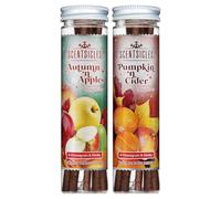 Scentsicles Autumn n Apples and Pumpkin n Cider Scented Stick Ornaments - 2 Bottles (12 Sticks Total)