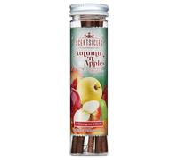 Scentsicles Autumn n Apples Scented Hanging Ornaments - 6 Brown Paper Sticks with Hooks for Fall & Christmas