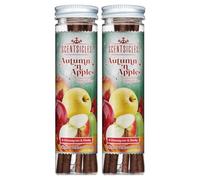 Scentsicles Autumn n Apples Scented Ornament Sticks - 2 Pack (12 Sticks Total)