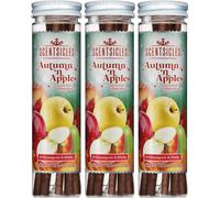 Scentsicles Autumn N Apples Scented Tree Ornament Sticks - 3 Pack