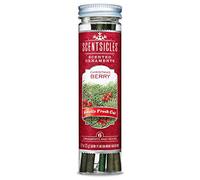 Scentsicles Christmas Berry Scented Christmas Ornaments with Hooks