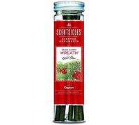 Scentsicles Christmas Berry ScentSicles 6 Count Hanging Paper Scented Tree Ornaments