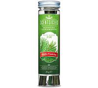 Scentsicles Christmas Decoration White Winter Fir - Fragrance Stick