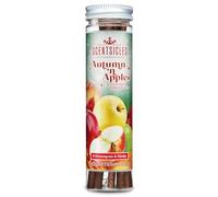 Scentsicles Christmas Scent Sticks - Pack of 6 - Apples & Autumn