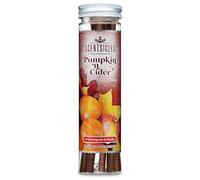 Scentsicles Christmas Scent Sticks - Pack of 6 - Pumpkin & Cider