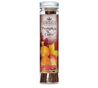 Scentsicles Christmas Scent Sticks - Pack Of 6 - Pumpkin & Cider