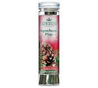 Scentsicles Christmas Scent Sticks - Pack of 6 - Snowberry Pine