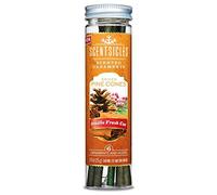 Scentsicles Festive Tree Scents Spiced Pine Cones