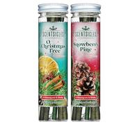 Scentsicles O Christmas Tree and Snowberry Pine Scented Christmas Ornaments with Hooks - 2 Pack (2 Bottles, 12 Sticks Total)