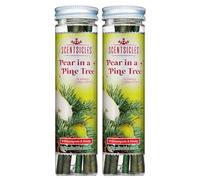 Scentsicles Pear in a Pine Tree Scented Christmas Ornaments 2 Pack