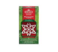 Scentsicles Scented Star Christmas Ornaments White Winter Fir Scent