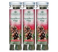 Scentsicles Snowberry Pine Scented Christmas Ornaments with Hooks - 1 Bottle (6 Sticks Total)
