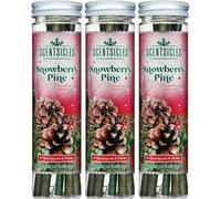 Scentsicles Snowberry Pine Scented Christmas Ornaments With Hooks - 3 Bottles