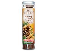 Scentsicles Spiced Pine Cones Scented Christmas Ornaments with Hooks - 1 Bottle (6 Sticks Total)