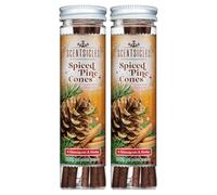 Scentsicles Spiced Pine Cones Scented Christmas Ornaments with Hooks
