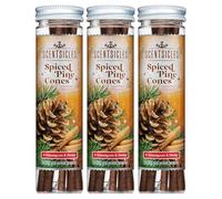 Scentsicles Spiced Pine Cones Scented Ornaments with Hooks - 3 Bottles (18 Sticks Total)