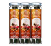 Scentsicles Spiced Pine Cones Scented Ornaments with Hooks - 3 Bottles (18 Sticks Total)