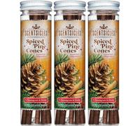 Scentsicles Spiced Pine Cones Scented Tree Ornaments With Hooks - 3 Bottles