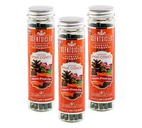 Scentsicles Spiced Pine Scented Ornaments with Hooks - 3 Bottles (18 Sticks)