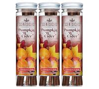 Scentsicles Spiced Pumpkin n Cider Scented Christmas Ornaments with Hooks - 3 Bottles (18 Sticks Total)