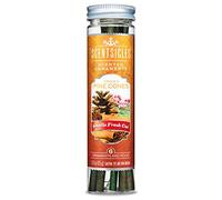 Scentsicles Tree Ornament Spiced Pine Cone Bottle (Pack of 6), Christmas