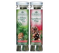 Scentsicles White Winter Fir and Snowberry Pine Scented Christmas Ornaments